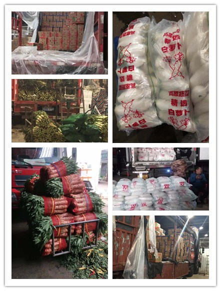 首页- 新宝GG集团创造事业平台