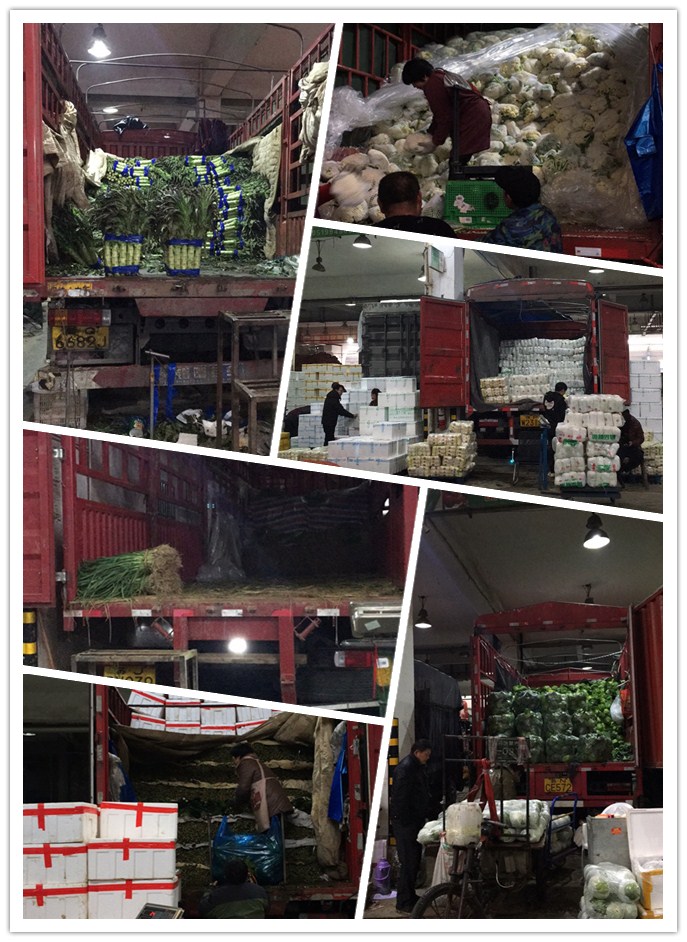 首页- 新宝GG集团创造事业平台