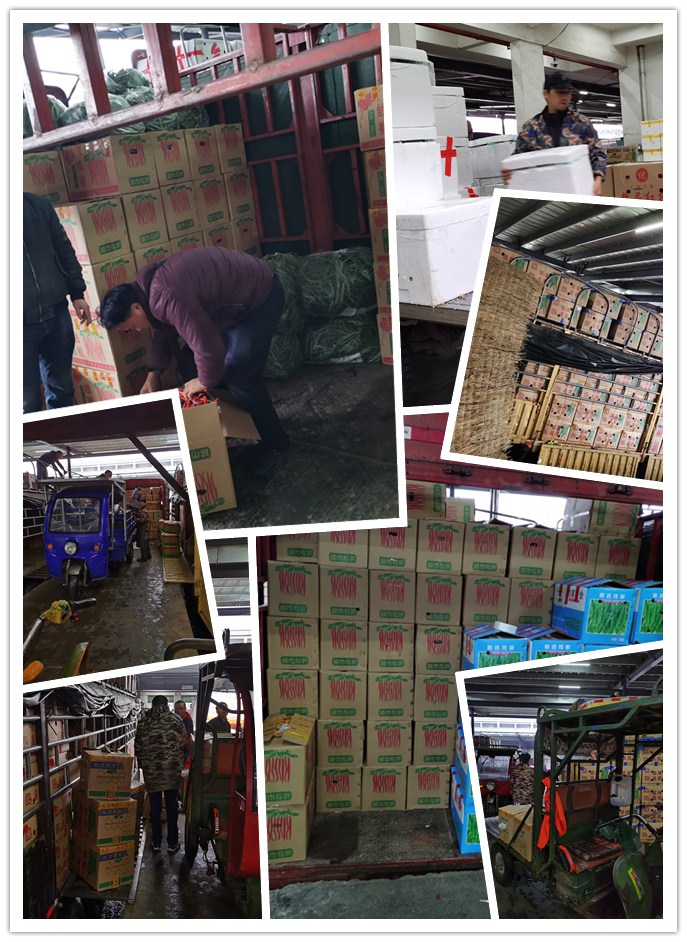 首页- 新宝GG集团创造事业平台