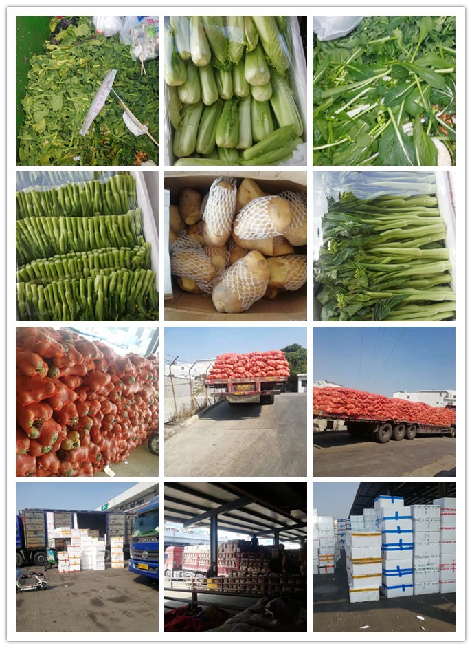 首页- 新宝GG集团创造事业平台