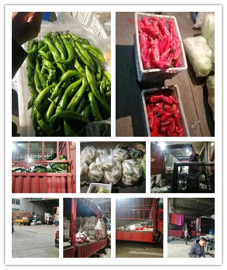 首页- 新宝GG集团创造事业平台