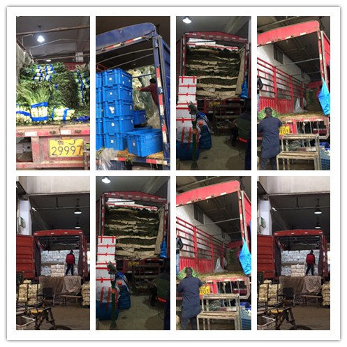 首页- 新宝GG集团创造事业平台