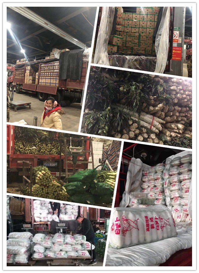 首页- 新宝GG集团创造事业平台