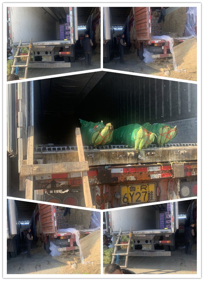 首页- 新宝GG集团创造事业平台