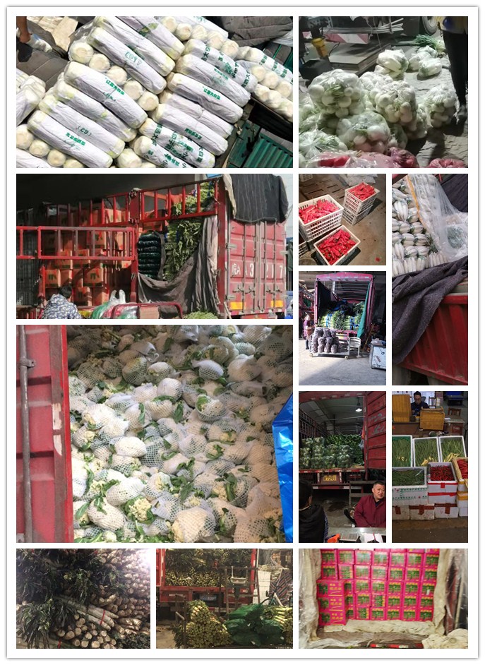 首页- 新宝GG集团创造事业平台