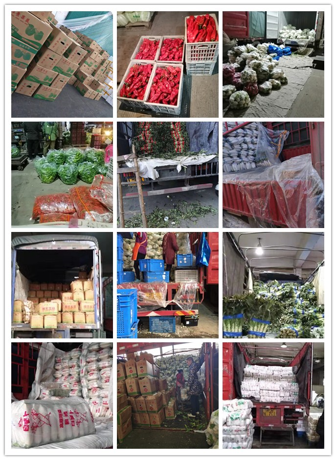 首页- 新宝GG集团创造事业平台