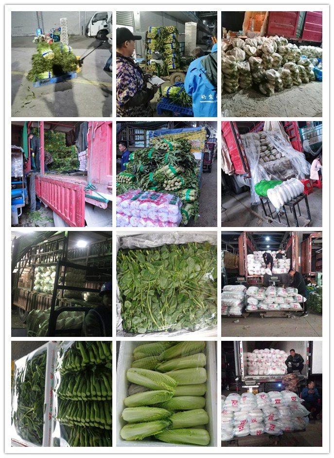 首页- 新宝GG集团创造事业平台