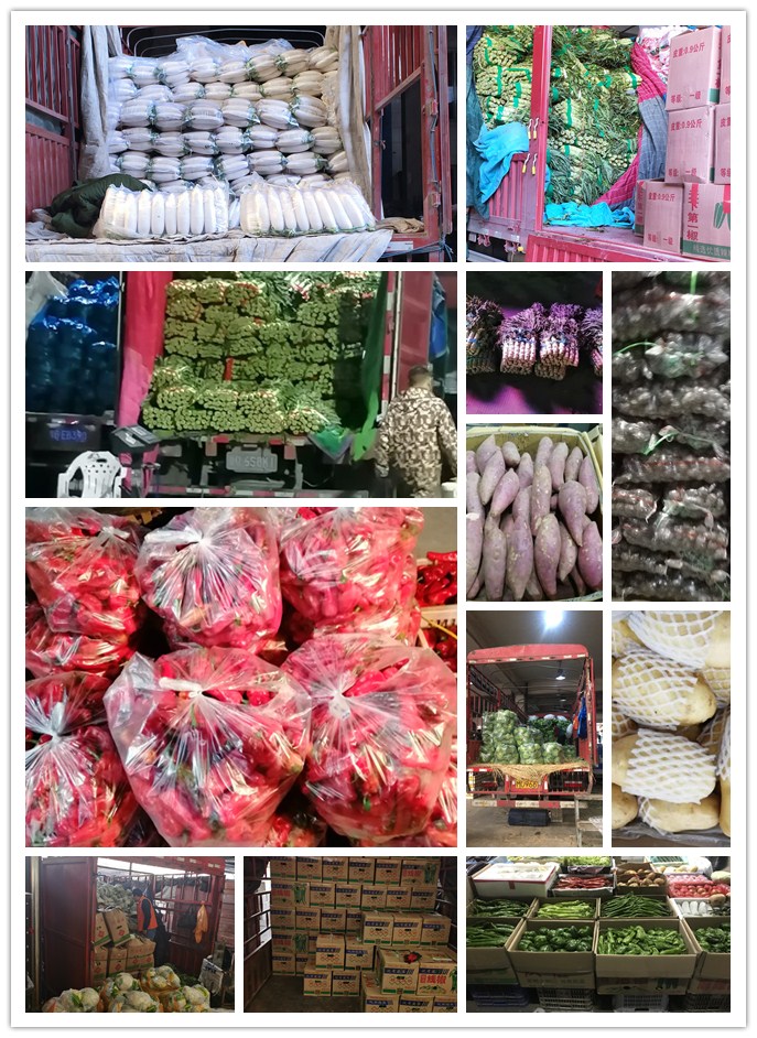 首页- 新宝GG集团创造事业平台