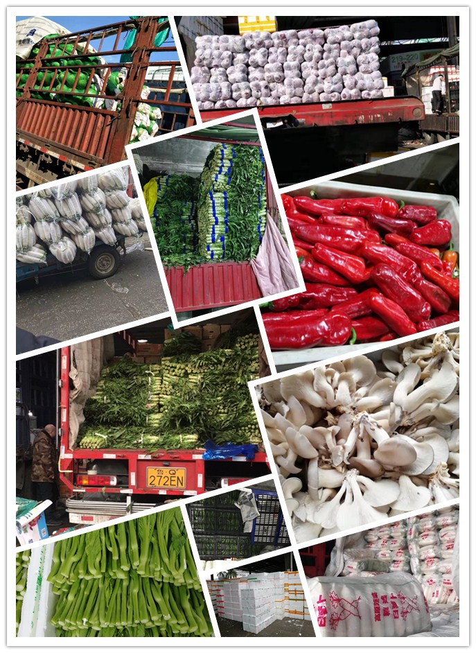 首页- 新宝GG集团创造事业平台