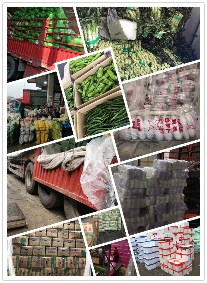 首页- 新宝GG集团创造事业平台