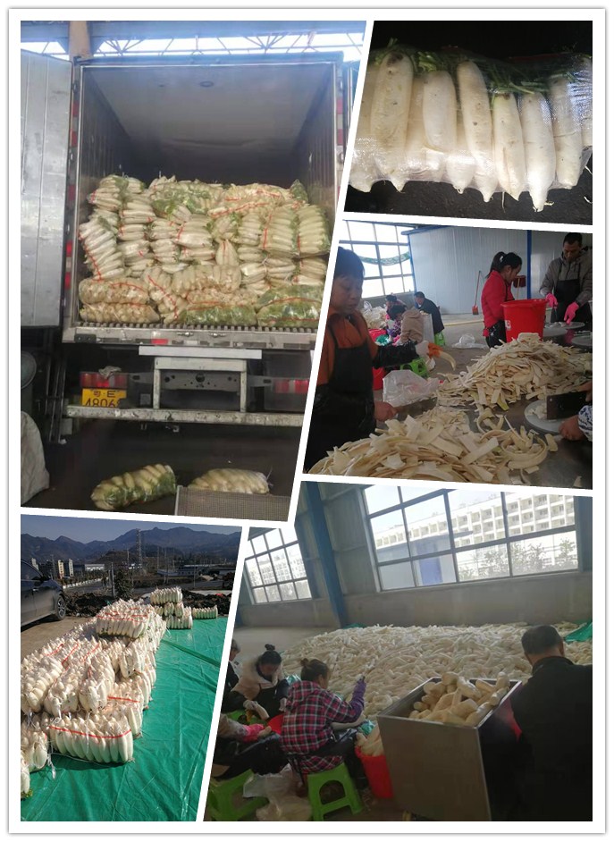 首页- 新宝GG集团创造事业平台