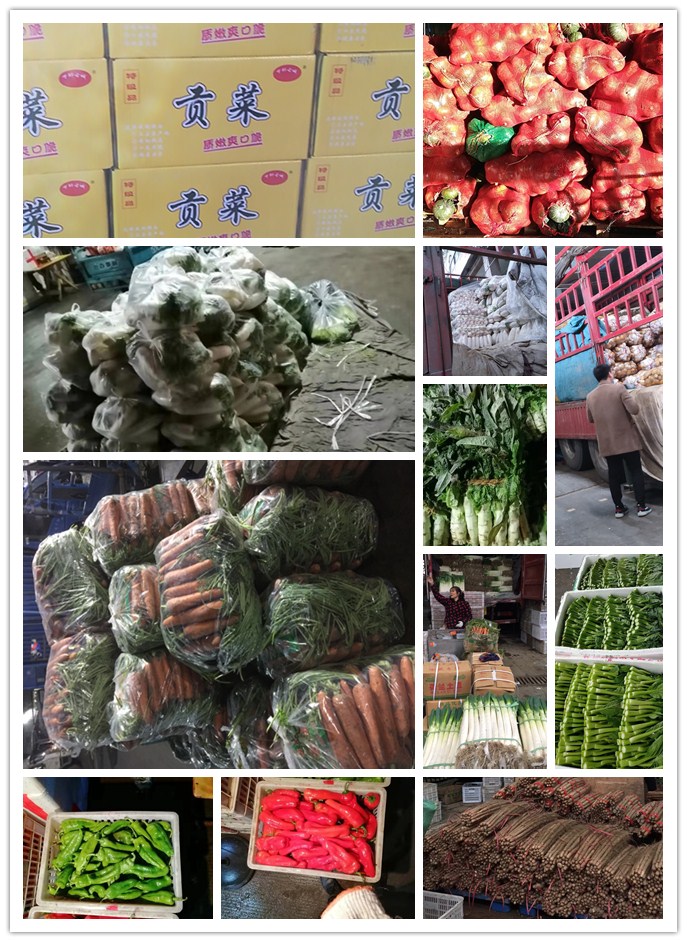 首页- 新宝GG集团创造事业平台