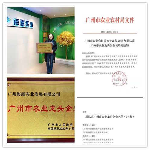 首页- 新宝GG集团创造事业平台