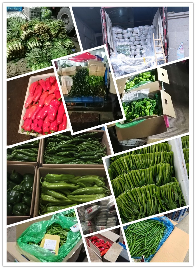 首页- 新宝GG集团创造事业平台