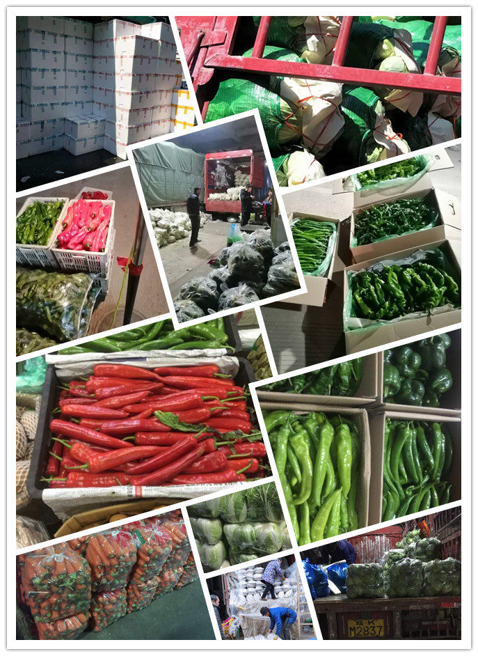 首页- 新宝GG集团创造事业平台