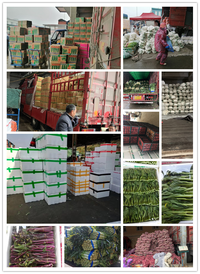 首页- 新宝GG集团创造事业平台