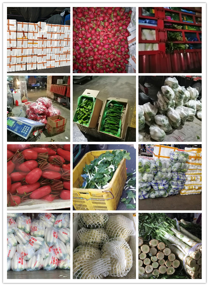 首页- 新宝GG集团创造事业平台