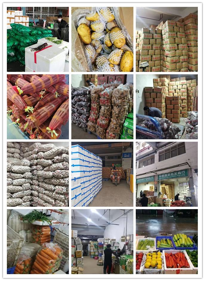 首页- 新宝GG集团创造事业平台