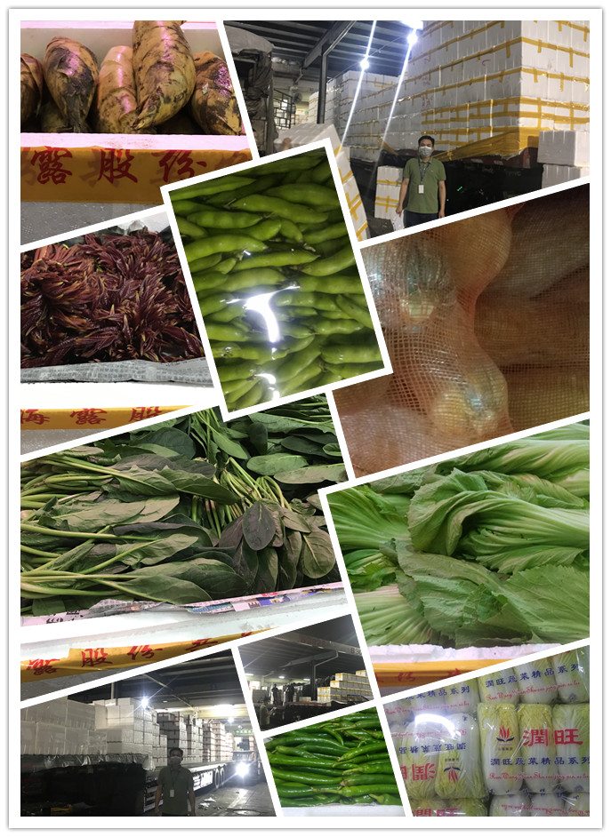 首页- 新宝GG集团创造事业平台