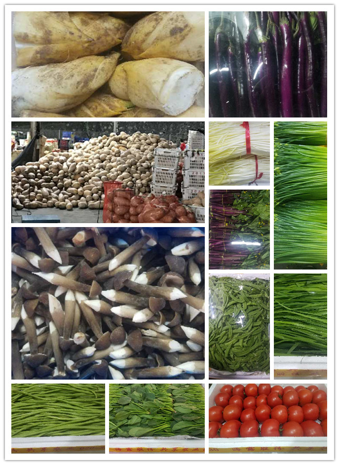 首页- 新宝GG集团创造事业平台