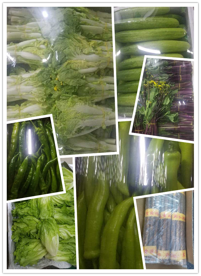 首页- 新宝GG集团创造事业平台