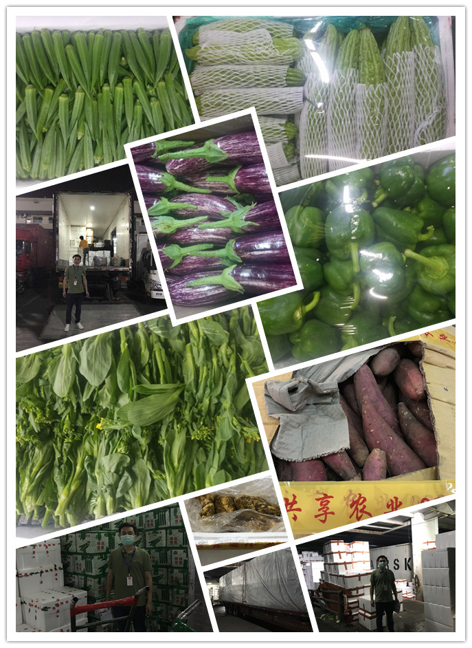 首页- 新宝GG集团创造事业平台