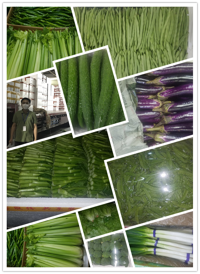 首页- 新宝GG集团创造事业平台