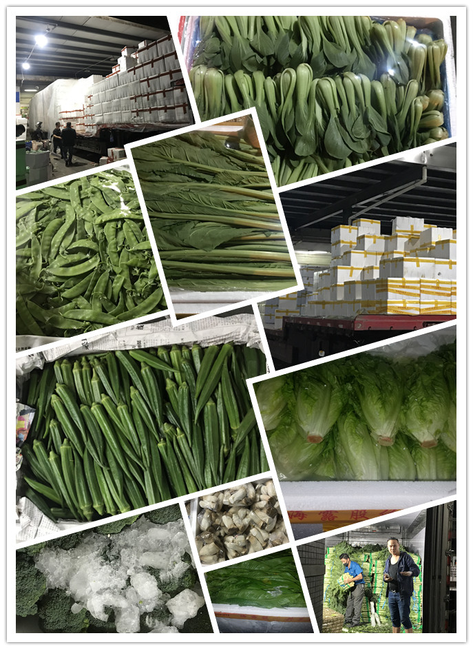 首页- 新宝GG集团创造事业平台