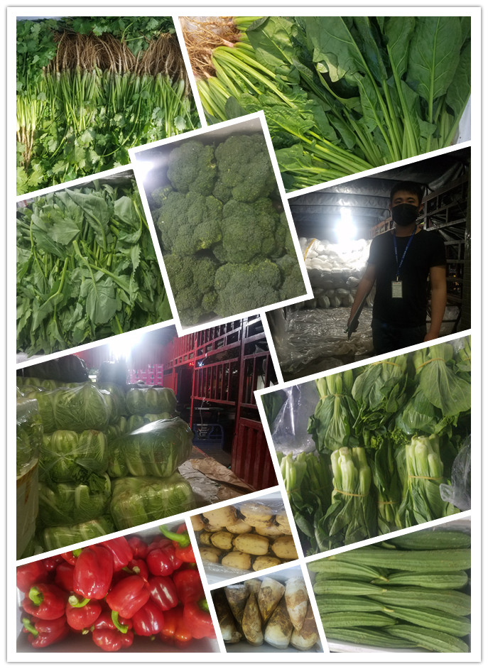 首页- 新宝GG集团创造事业平台