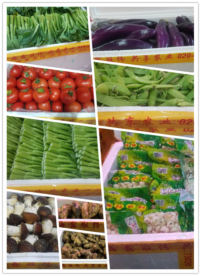 首页- 新宝GG集团创造事业平台