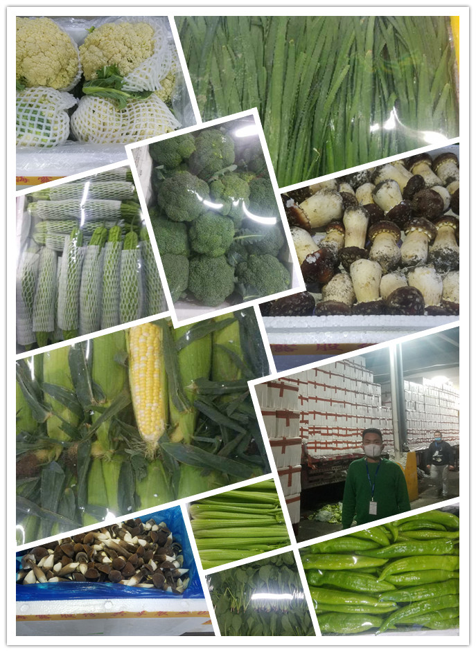 首页- 新宝GG集团创造事业平台