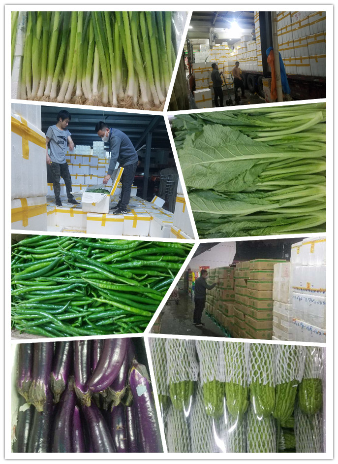 首页- 新宝GG集团创造事业平台