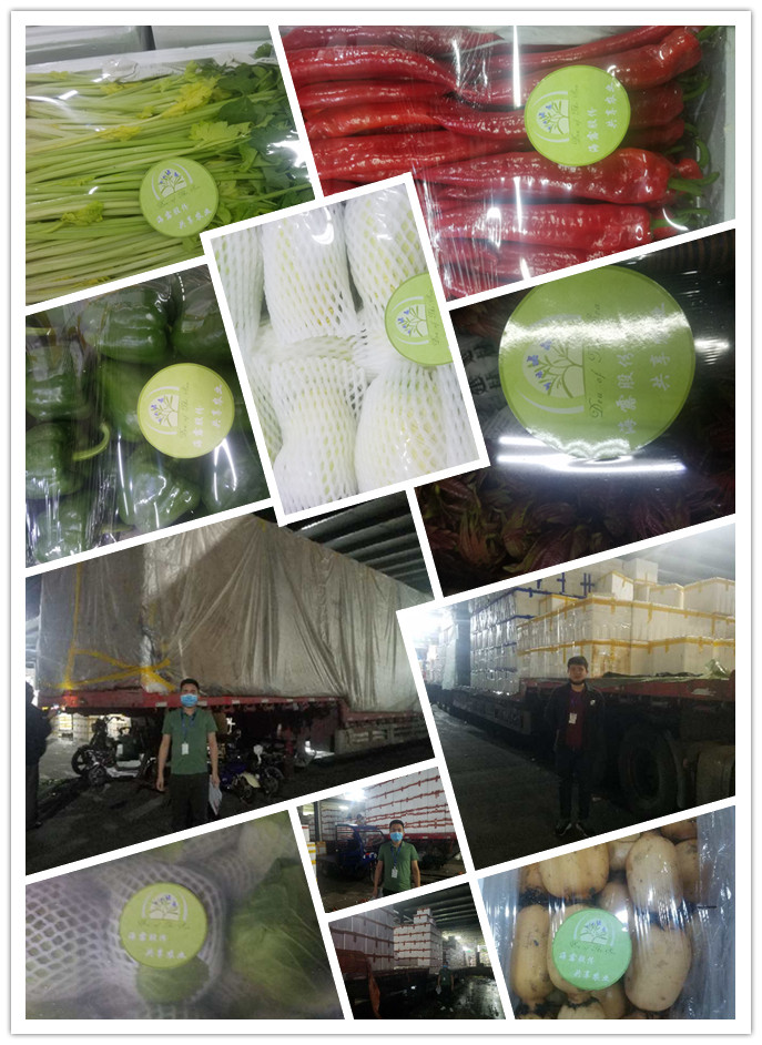 首页- 新宝GG集团创造事业平台