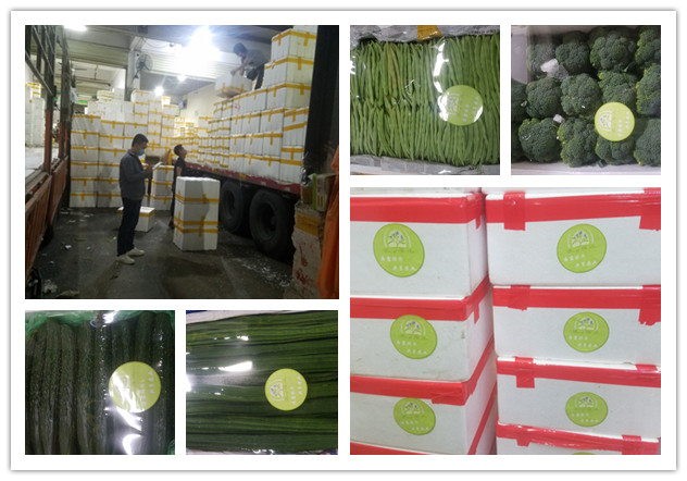 首页- 新宝GG集团创造事业平台