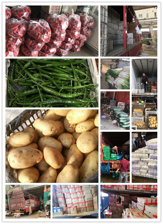 首页- 新宝GG集团创造事业平台