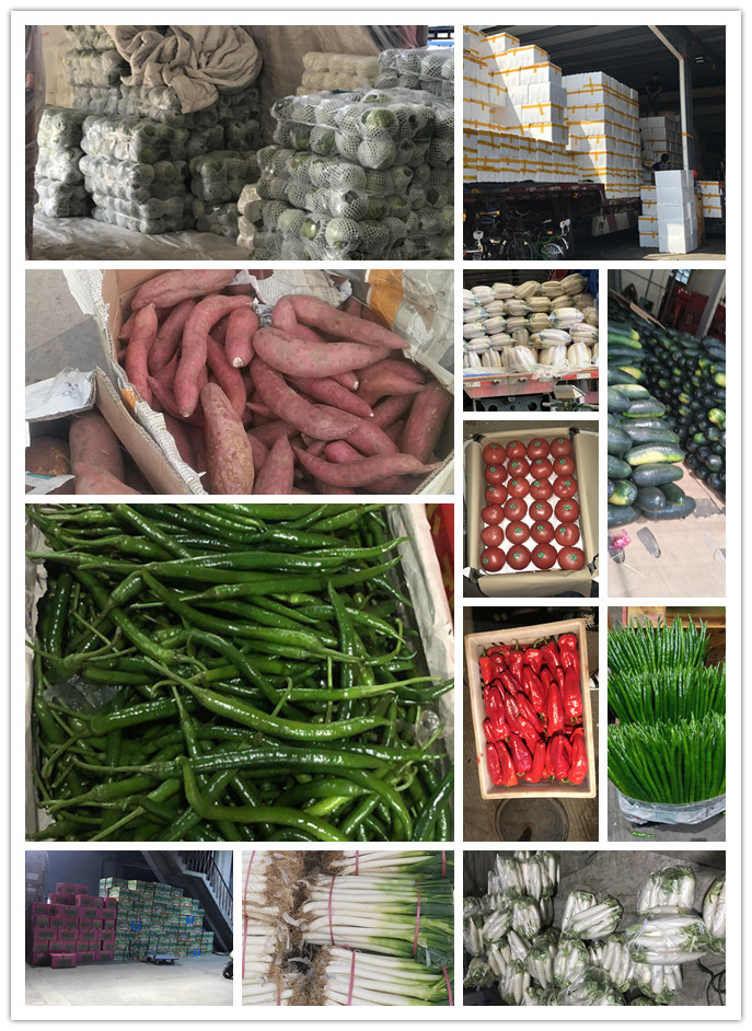 首页- 新宝GG集团创造事业平台