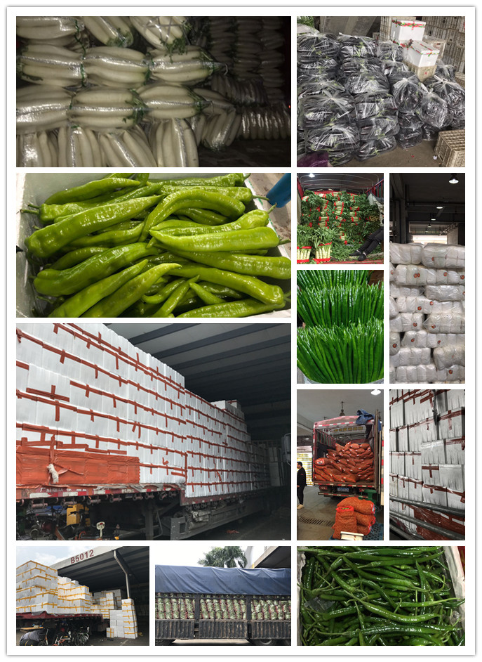 首页- 新宝GG集团创造事业平台