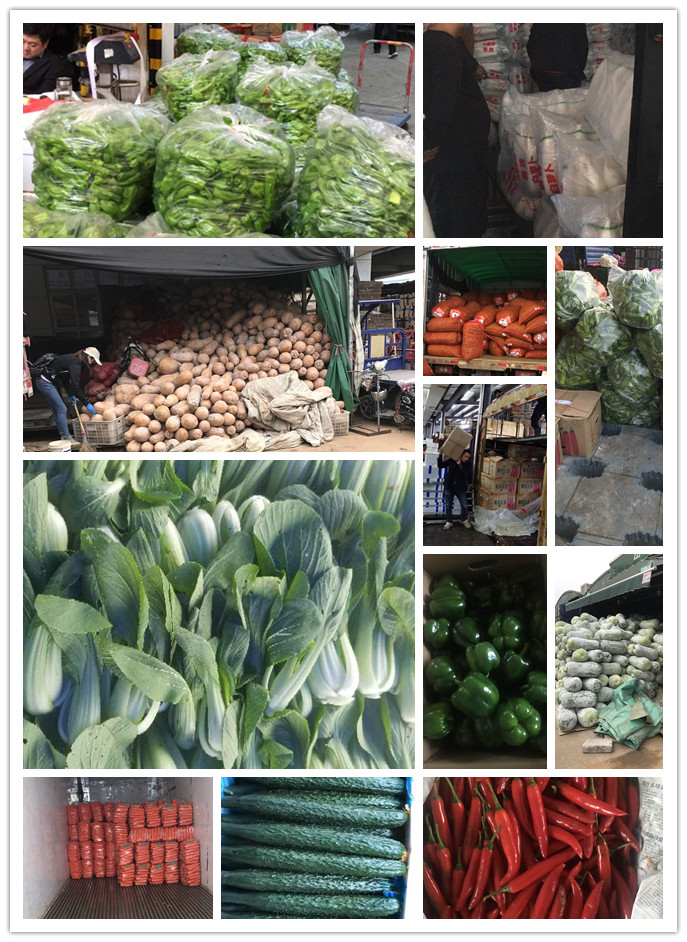 首页- 新宝GG集团创造事业平台