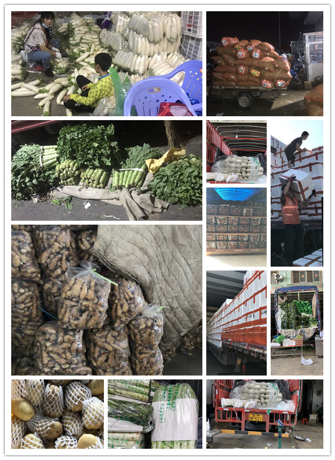 首页- 新宝GG集团创造事业平台