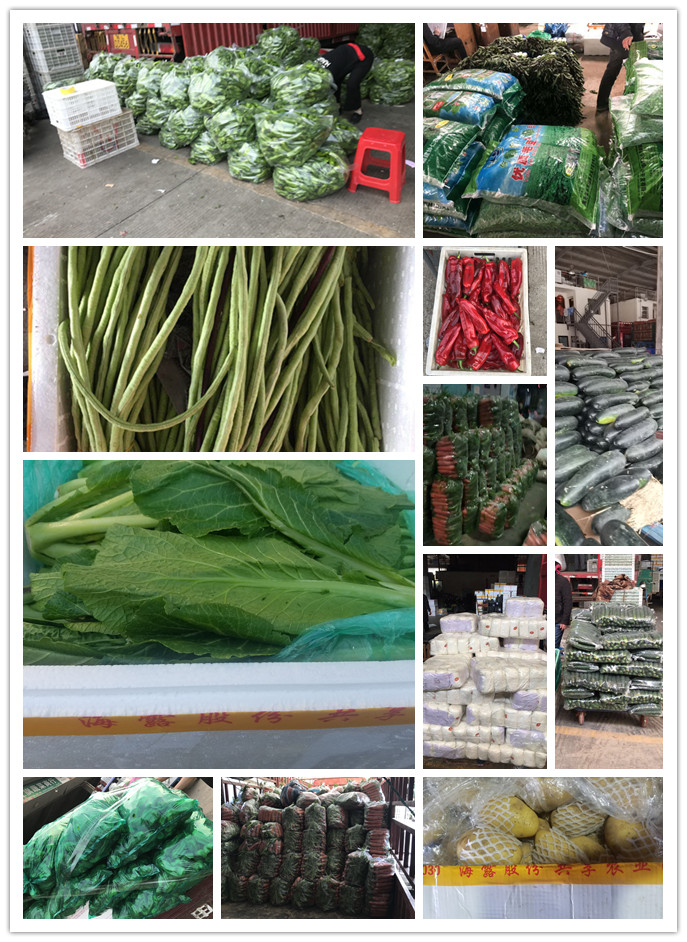 首页- 新宝GG集团创造事业平台