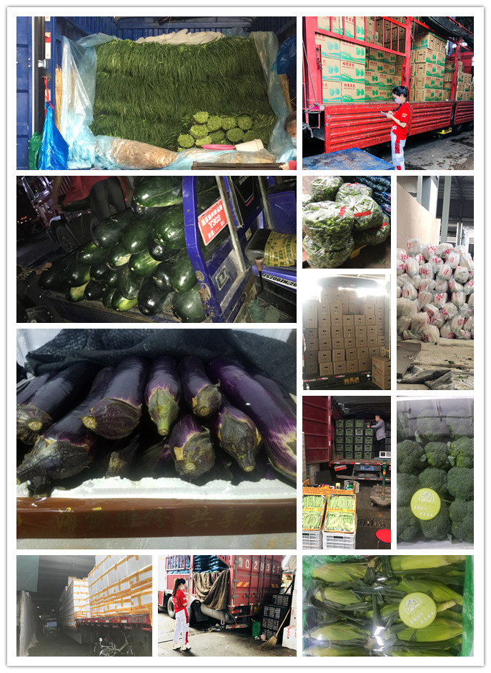 首页- 新宝GG集团创造事业平台