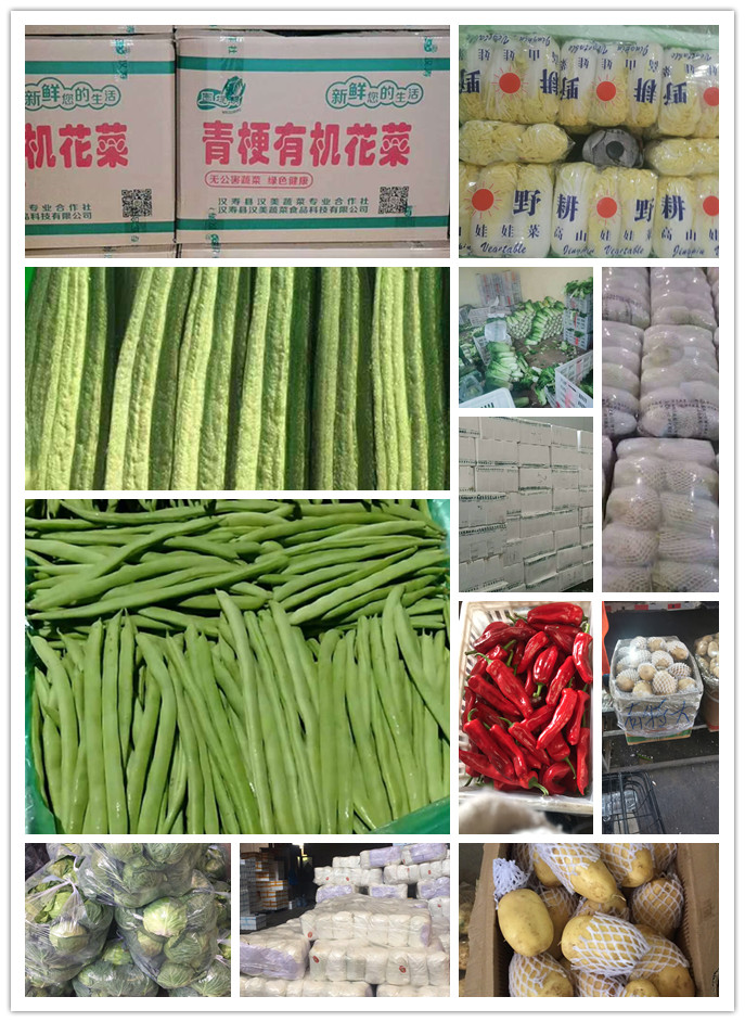 首页- 新宝GG集团创造事业平台