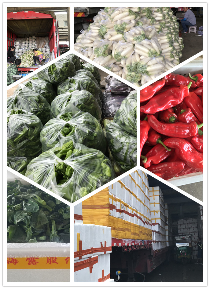 首页- 新宝GG集团创造事业平台