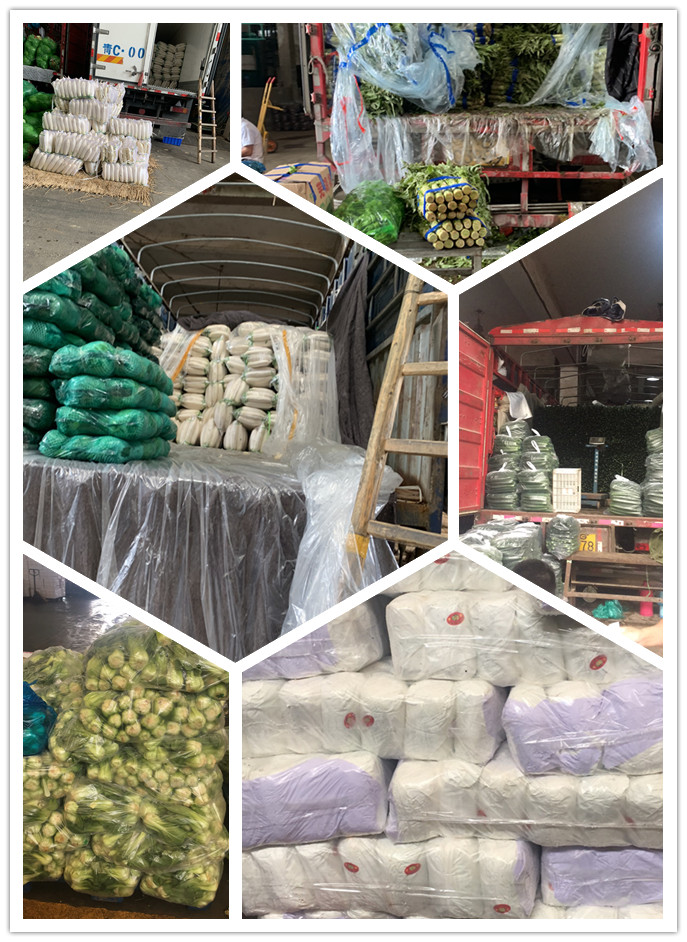 首页- 新宝GG集团创造事业平台