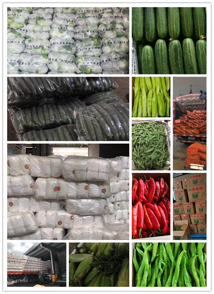 首页- 新宝GG集团创造事业平台