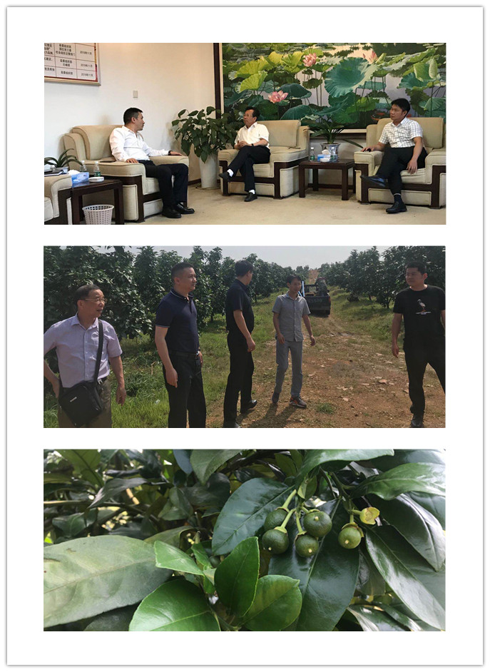 首页- 新宝GG集团创造事业平台