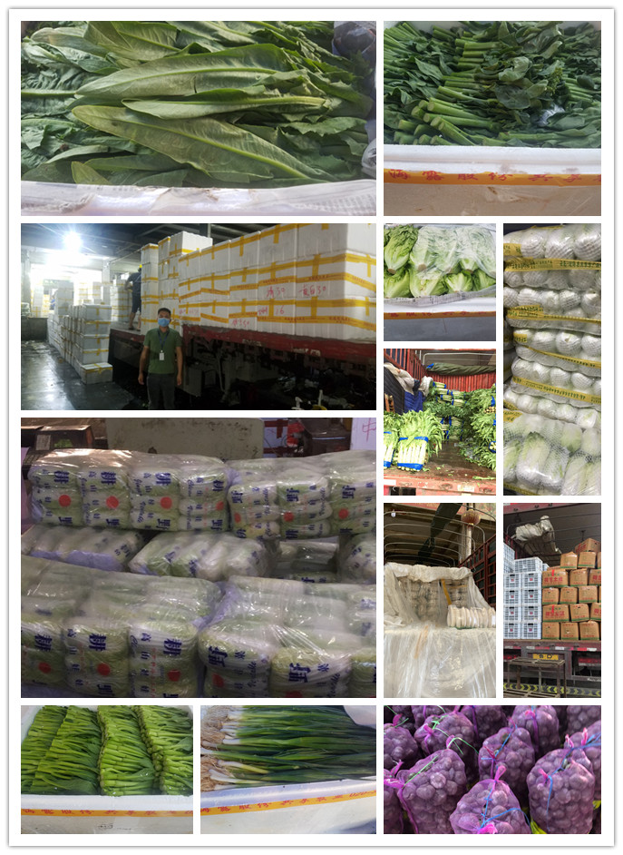 首页- 新宝GG集团创造事业平台