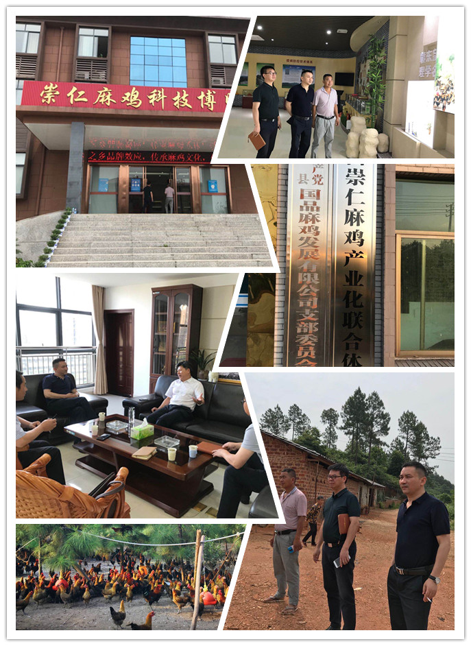 首页- 新宝GG集团创造事业平台