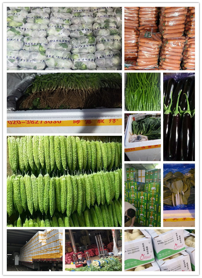 首页- 新宝GG集团创造事业平台