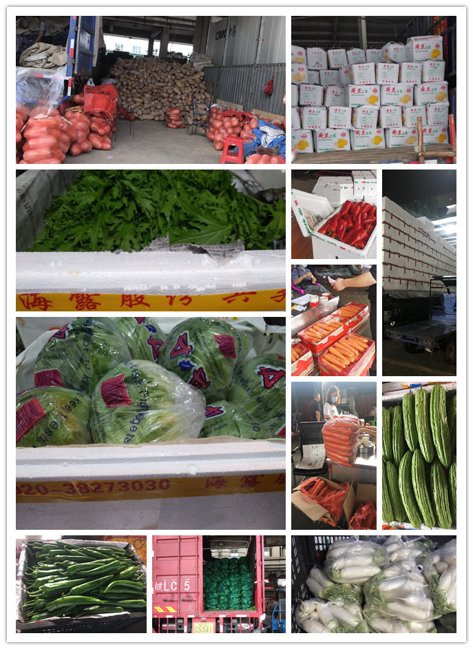 首页- 新宝GG集团创造事业平台